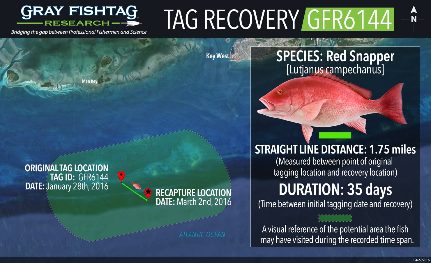 GFR6144-RedSnapper-Tag-Recovery