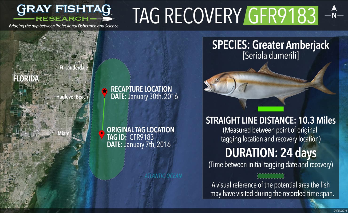 GFR9183-Greater-Amberjack-Recovery