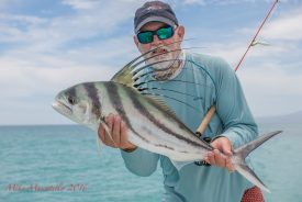 GFR15579-Roosterfish-Recovery-AnglerPhoto