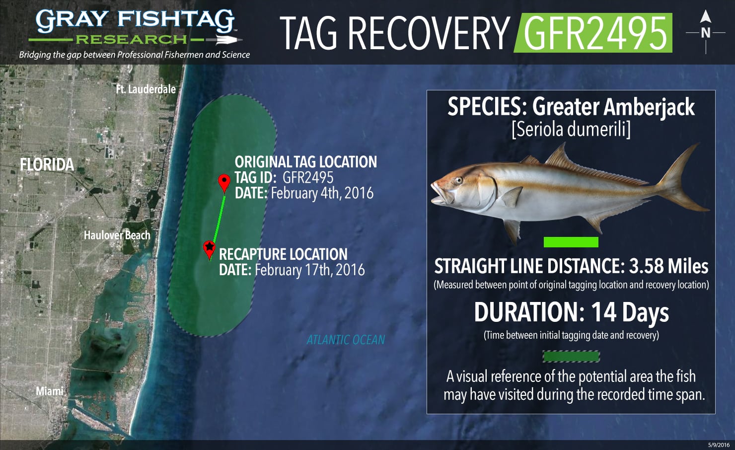 GFR2495-Greater-Amberjack-Recovery