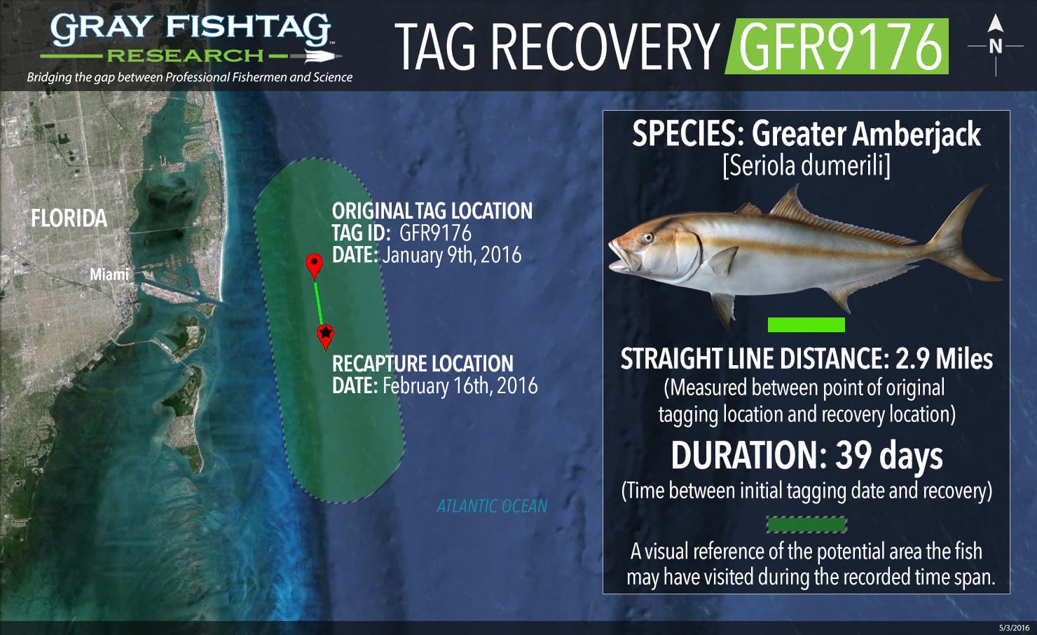 GFR9176-Greater-Amberjack-Recovery