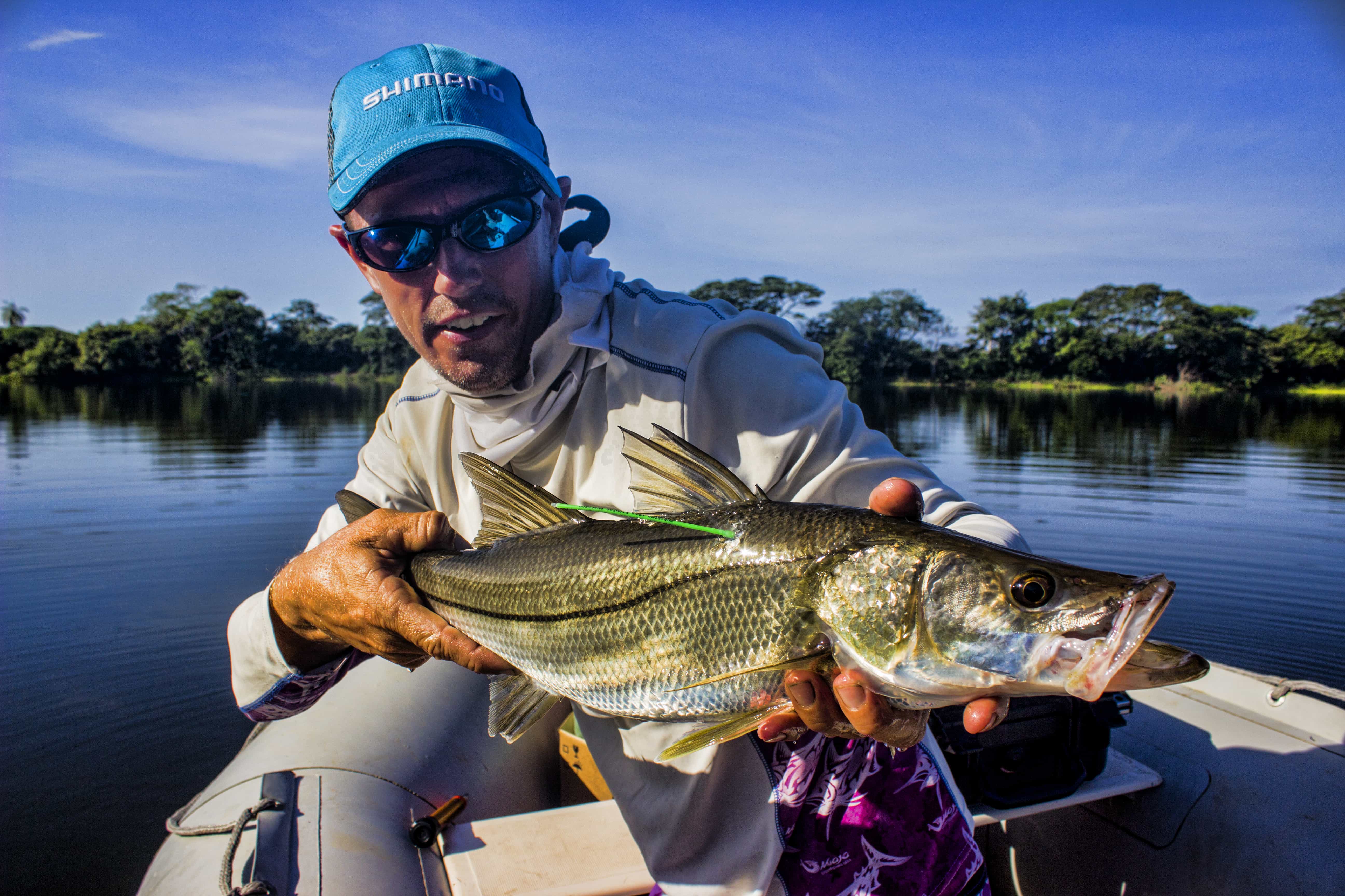 Snook Tagged by Gray FishTag Research