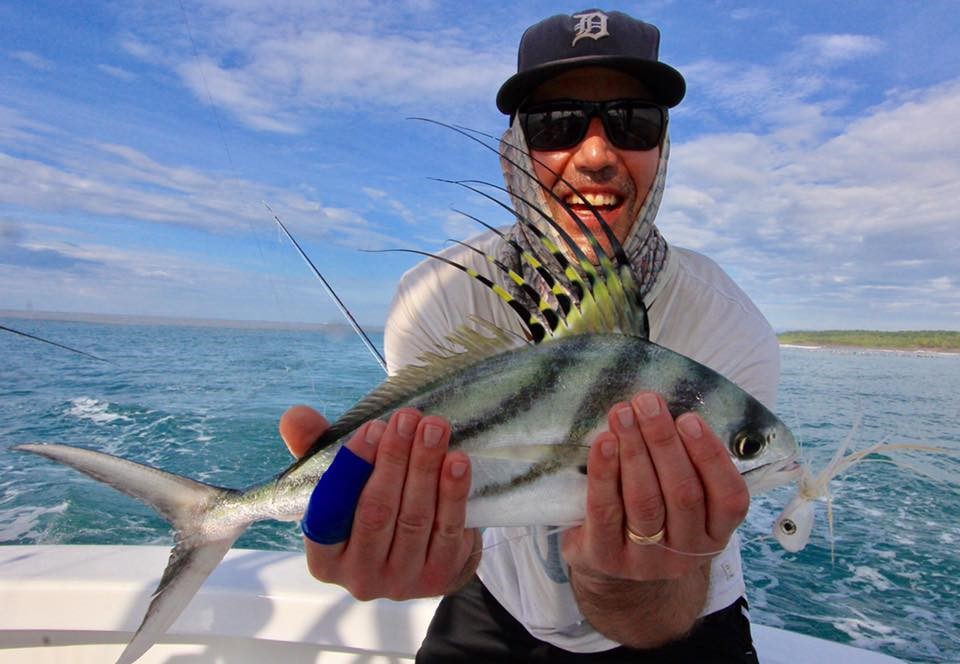 Los Gatos Roosterfish Study